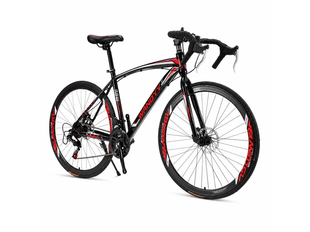 Road Bike Steel 700C (WDRBS101)